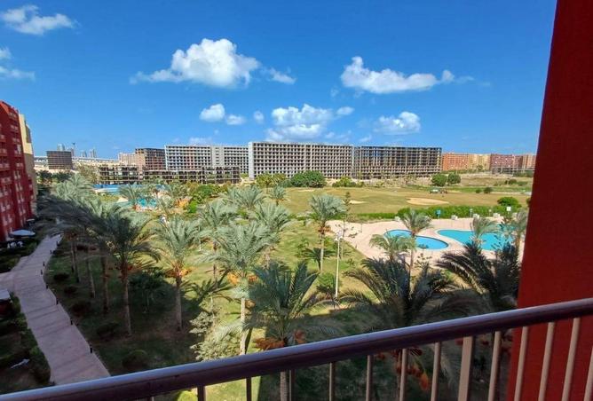 61926243 - Property Image 3