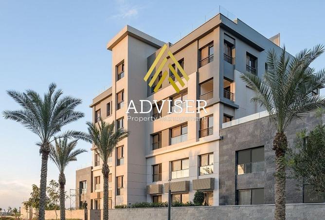 64390300 - Property Image 3