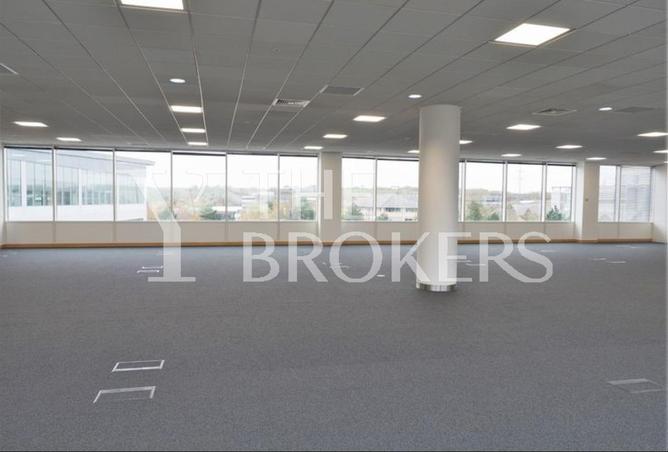 54238956 - Property Image 3