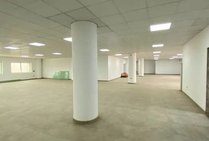 114904235 - Property Image 3