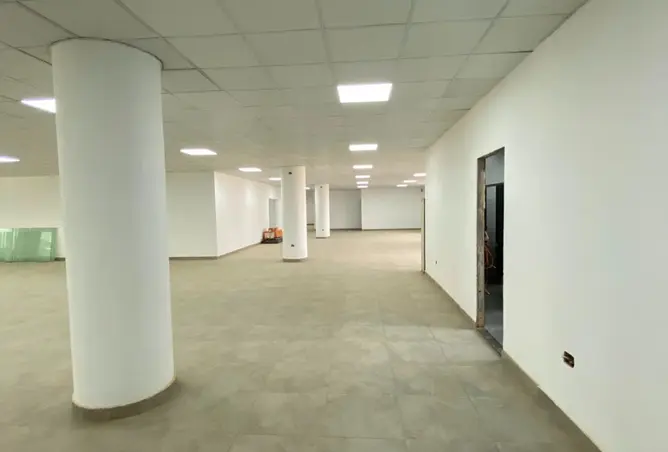 114904235 - Property Image 2