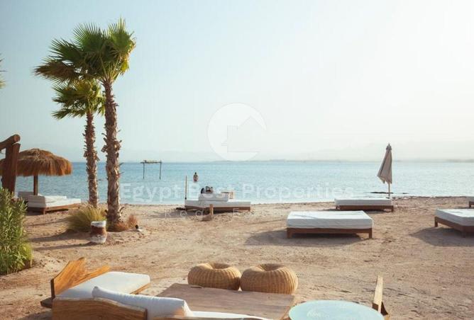 100095181 - Property Image 3