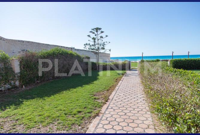 8431572 - صورة العقار 2