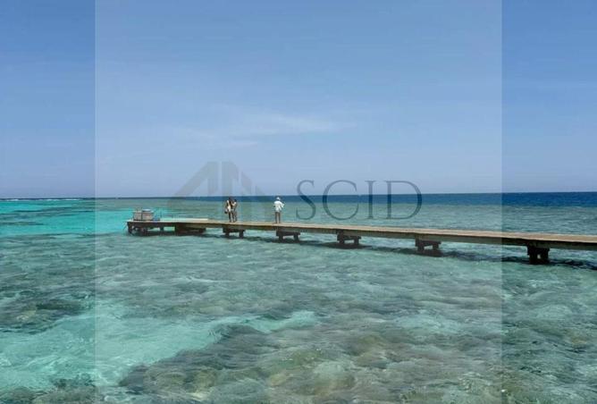 67475079 - صورة العقار 2