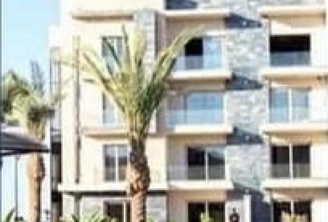 54759291 - Property Image 3