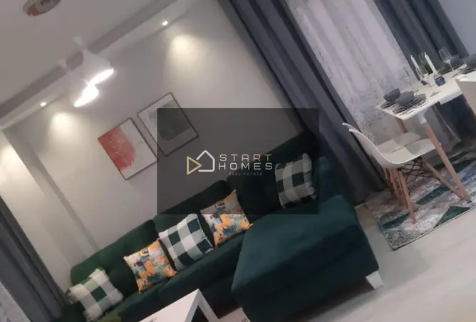 117537213 - Property Image 2