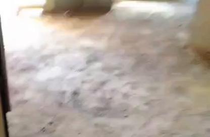شقة - 3 - 2 للبيع في بيت الوطن - التجمع الخامس - مدينة القاهرة الجديدة - القاهرة شقة - 3 - 2 للبيع في بيت الوطن - التجمع الخامس - مدينة القاهرة الجديدة - القاهرة