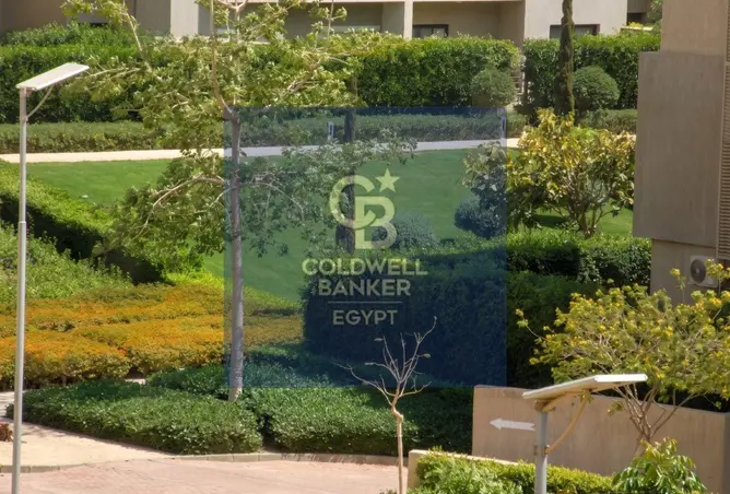111023845 - صورة العقار 3
