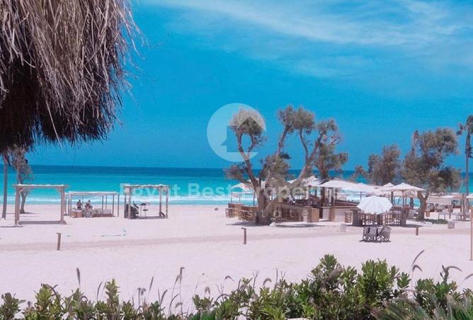98006845 - صورة العقار 3