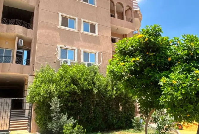 87514848 - صورة العقار 3