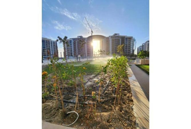 53729776 - صورة العقار 2