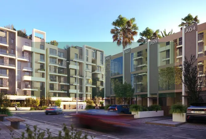 113250736 - Property Image 3