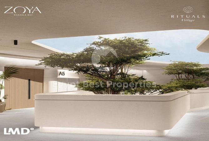 8672497 - Property Image 3