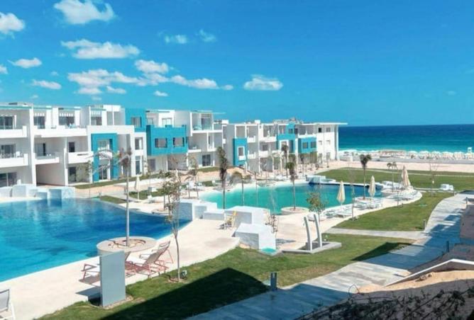 55260256 - Property Image 2