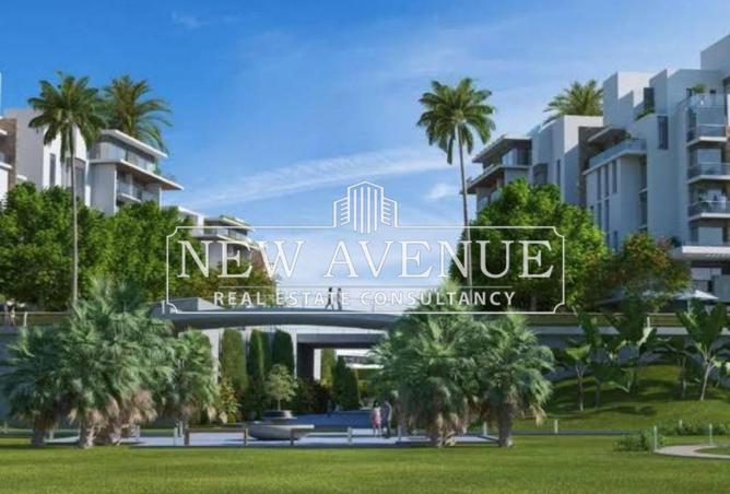 62407214 - Property Image 3