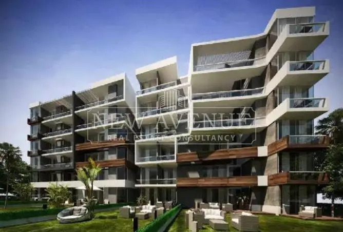 113523079 - Property Image 3