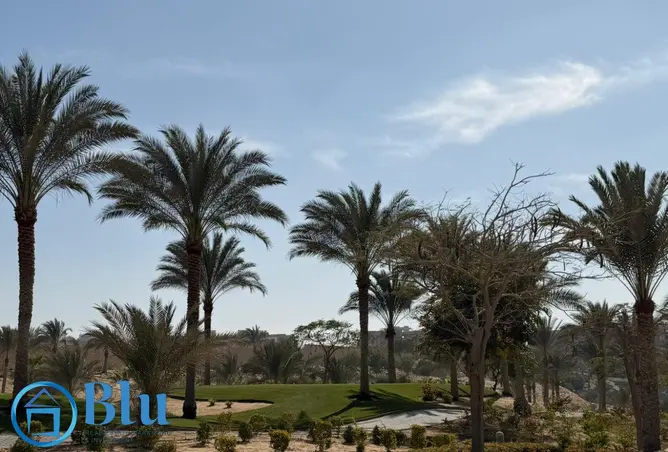 119330152 - صورة العقار 3