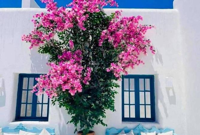 57754827 - صورة العقار 2