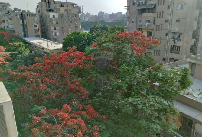 117534043 - Property Image 2