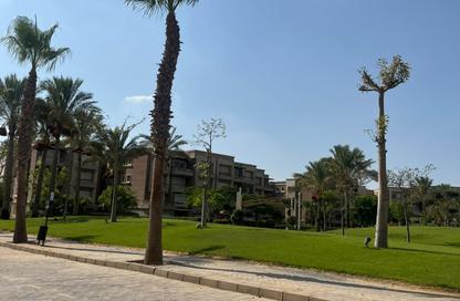 Duplex - 3 - 4 for sale in New Giza - Cairo Alexandria Desert Road - 6 October City - Giza Duplex - 3 - 4 for sale in New Giza - Cairo Alexandria Desert Road - 6 October City - Giza
