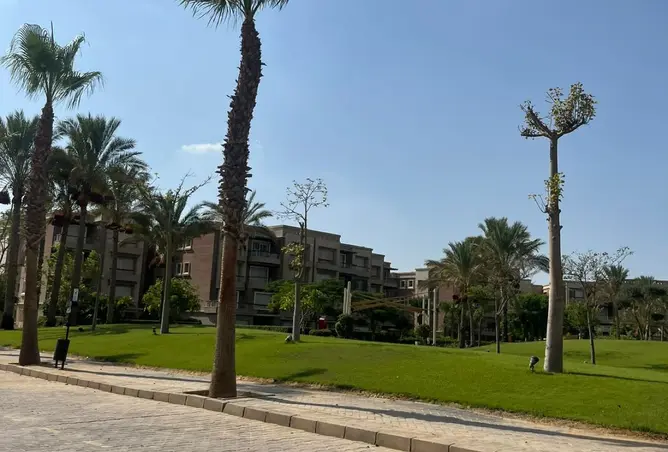 113820567 - صورة العقار 3
