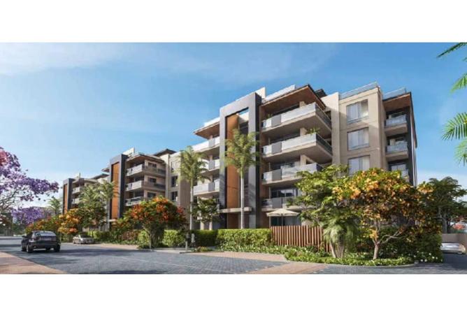 62649993 - Property Image 2