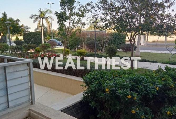 65666937 - Property Image 2