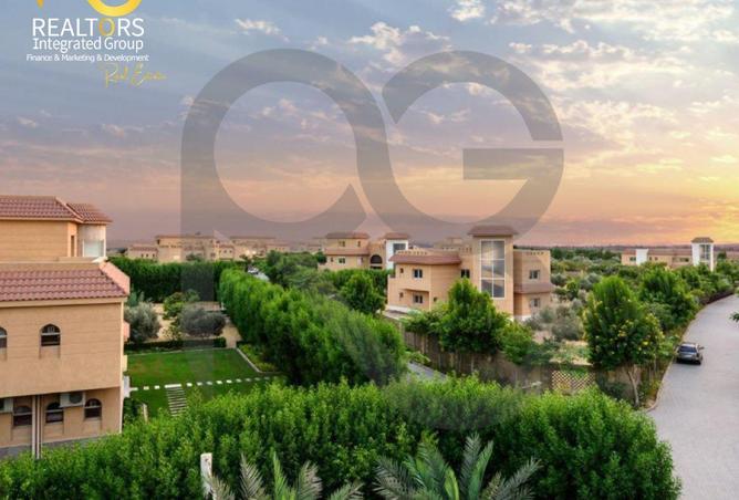 8435975 - صورة العقار 3