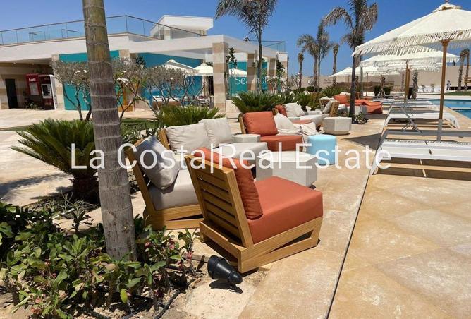 8673650 - Property Image 3