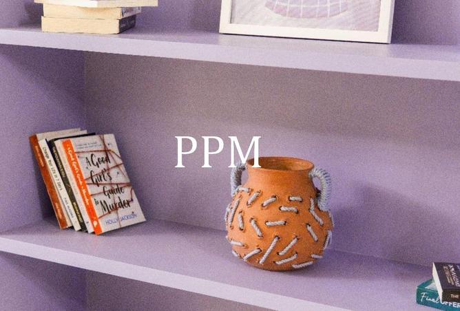 8543113 - Property Image 2