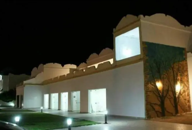117009810 - صورة العقار 3