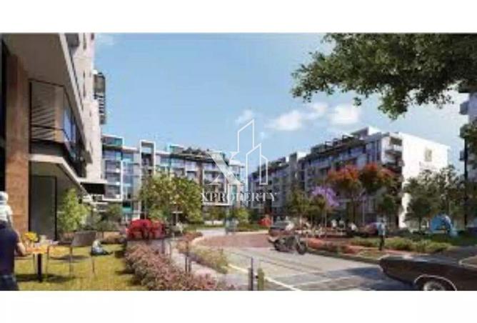 8418334 - Property Image 3