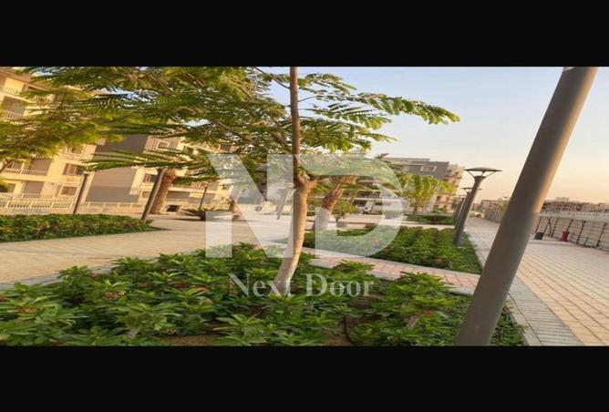 57997758 - Property Main Image