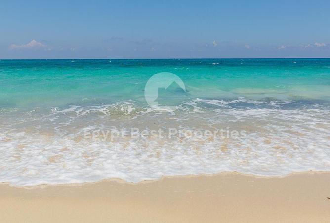 54486878 - Property Image 3