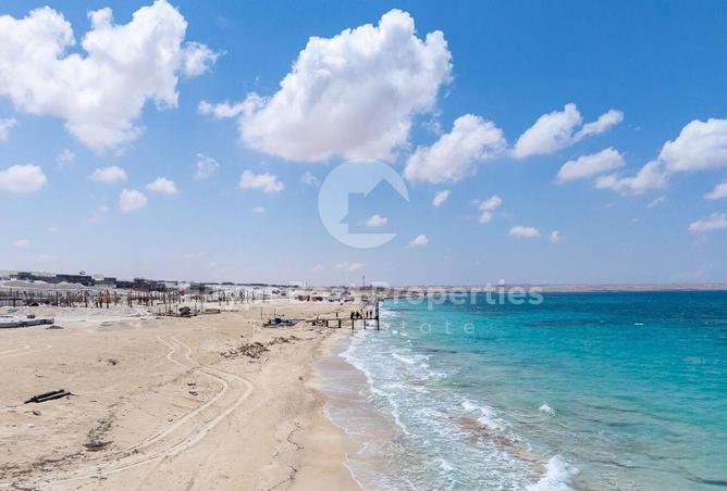 54486878 - Property Image 2