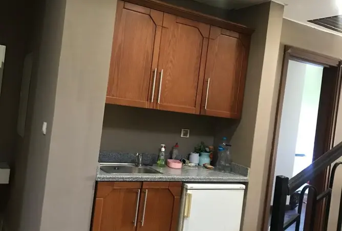 108516831 - صورة العقار 2