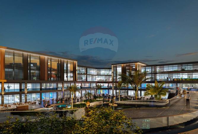 8466741 - Property Image 3