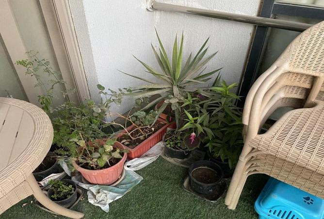 8577336 - Property Main Image