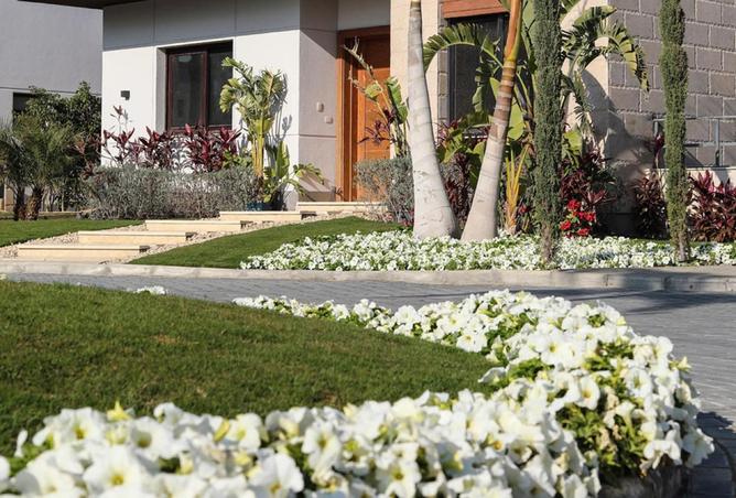 8551053 - صورة العقار 2