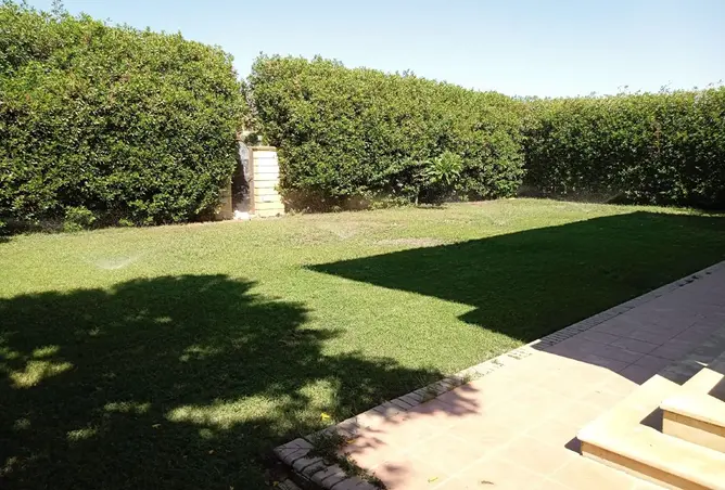 116236127 - صورة العقار 3