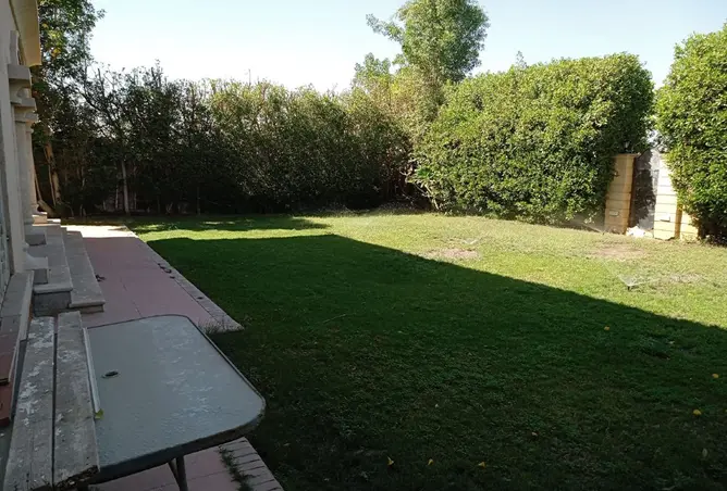 116236127 - صورة العقار 2