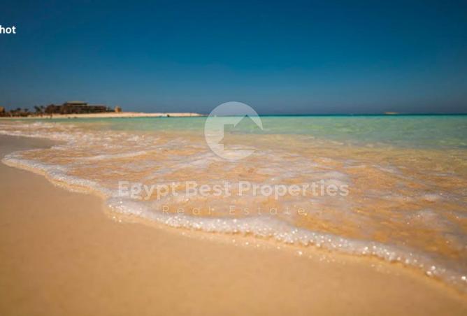 97722361 - صورة العقار 2