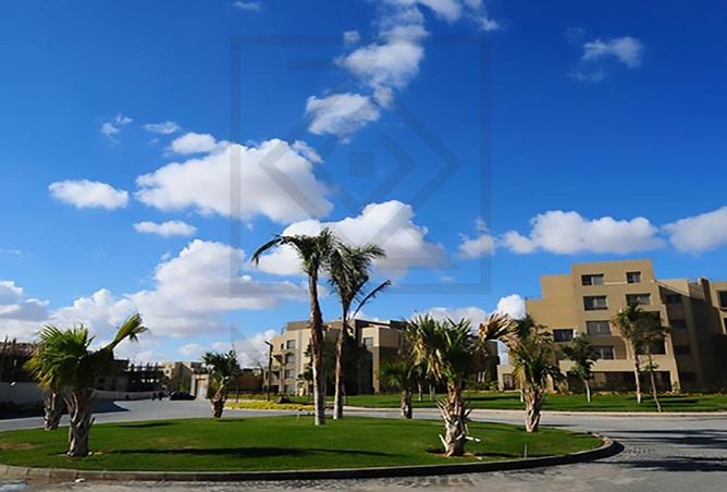 107123239 - صورة العقار 3