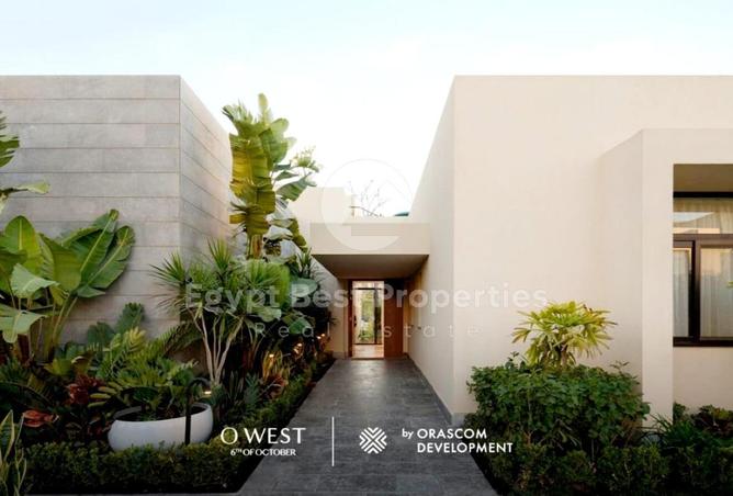 65921901 - Property Image 3