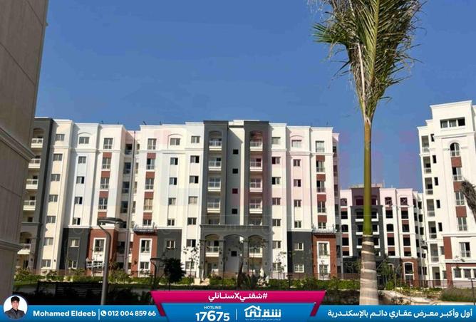 8591392 - Property Image 2