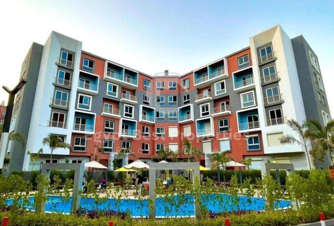 55505990 - صورة العقار 2