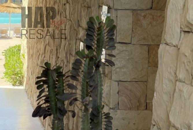 63389430 - صورة العقار 2