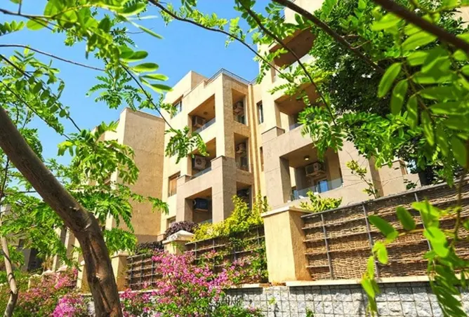 110462627 - Property Image 2