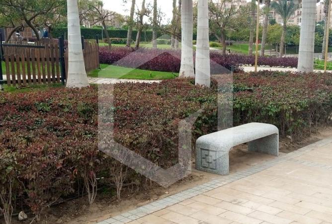 80265089 - Property Image 3