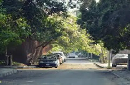 Apartment - 3 Bedrooms - 2 Bathrooms for sale in Street 9 - Maadi - Hay El Maadi - Cairo